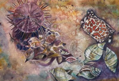 Tidal Treasures